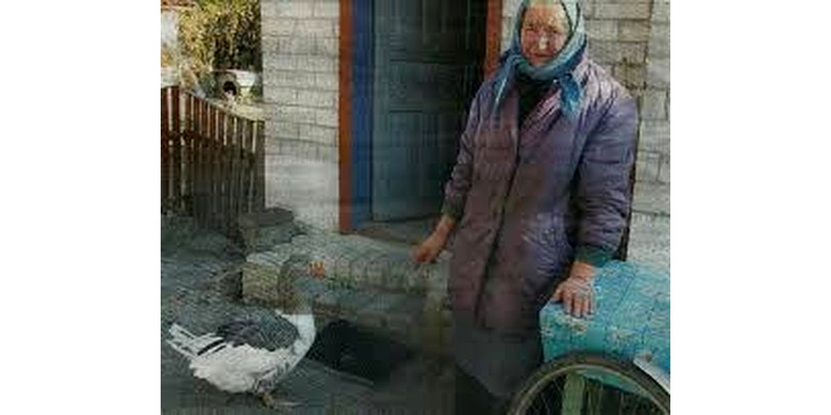 babcia-ania