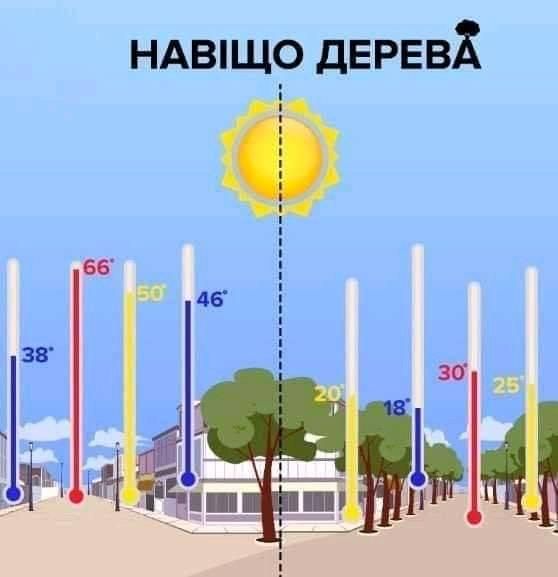 vusadka-lup-3 1