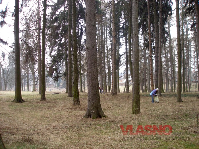 22-03-subbotnyk-7