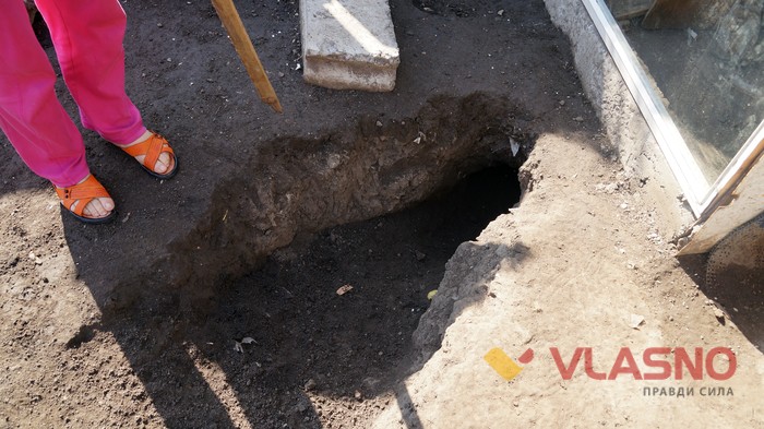 притулок для тварин у Вінниці фото