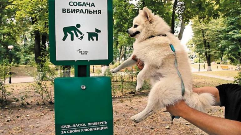 У Вінниці встановлять вбиральні для собак
