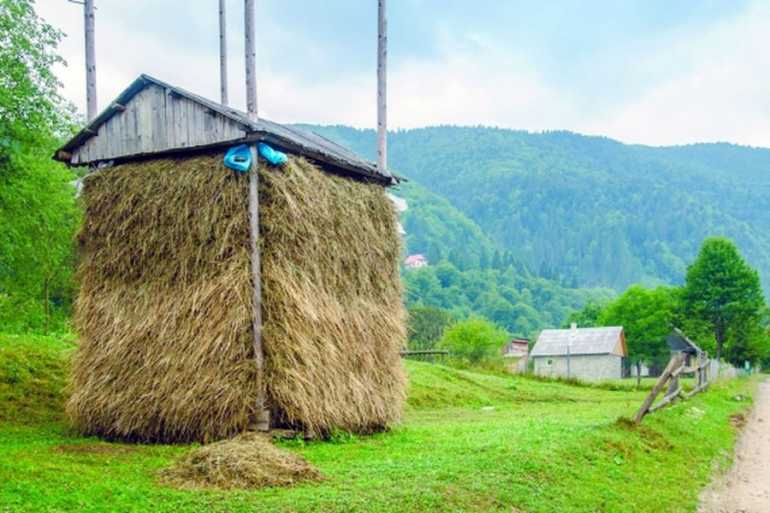 копиця сіна фото