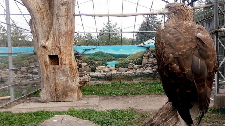 У Подільському зоопарку для птахів облаштували вольєри