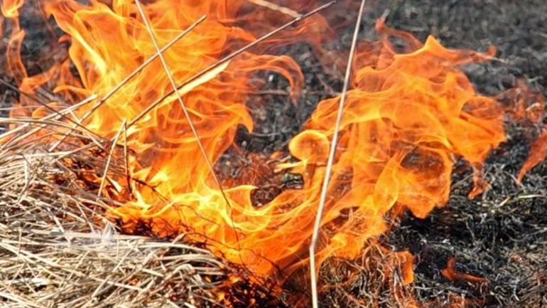 Необережне поводження з вогнем призвело до пожеж в екосистемах на Вінниччині