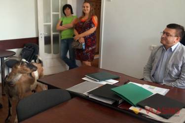 активісти з козою у кабінеті керівника управління держслужби з питань праці у Вінницькій області Володимира Марунька фото