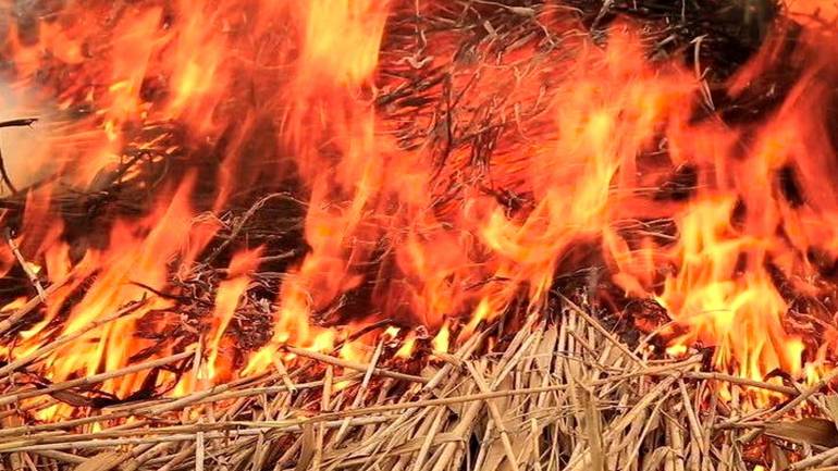У пожежі на Вінниччині згоріло п&rsquo;ять центнерів сіна