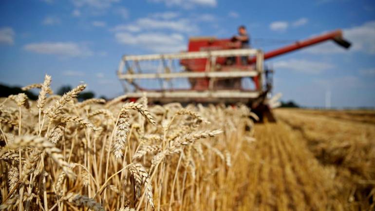 На Вінниччині зібрали понад два мільйони тонн зерна