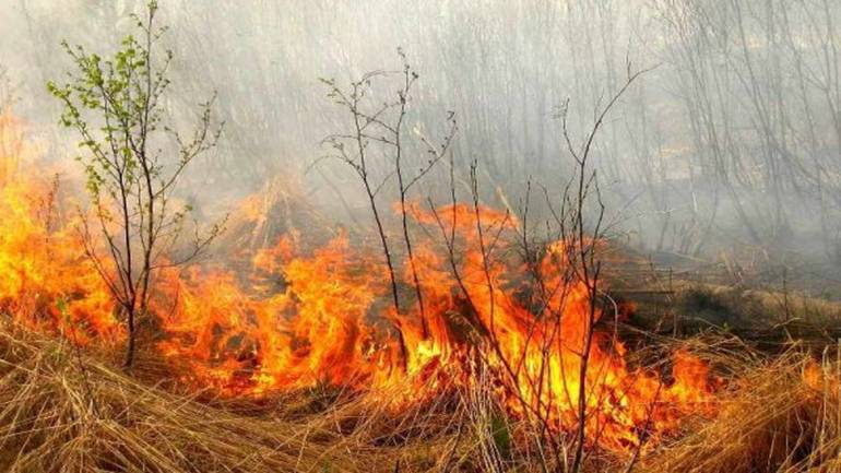 Протягом доби на Вінниччині двічі горіла суха трава