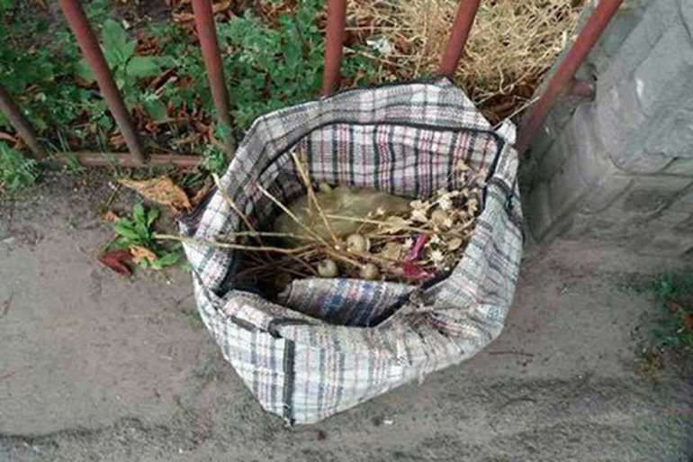 вилучили мак у мешканця Вінниччини фото