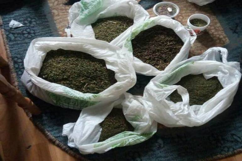 На Вінниччині &laquo;процвітає&raquo; марихуана