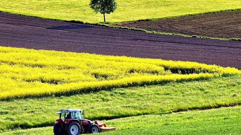 У&zwnj; &zwnj;Піщанському&zwnj; &zwnj;районі&zwnj; &zwnj;здають&zwnj; &zwnj;в&zwnj; &zwnj;оренду&zwnj; &zwnj;28&zwnj; &zwnj;гектарів&zwnj; &zwnj;чорноминської&zwnj; &zwnj;землі&zwnj;