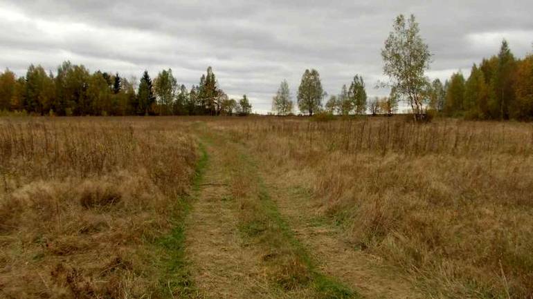 Забула дорогу додому: на Вінниччині поліцейські знайшли жінку в полі
