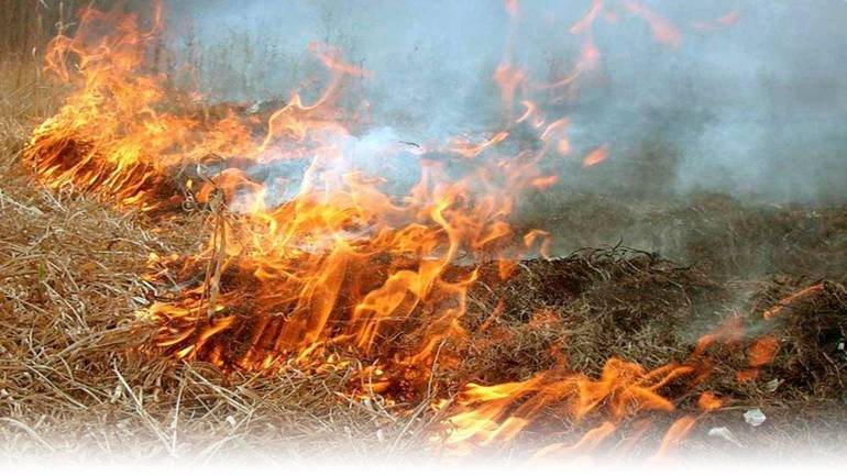 На Вінничичні пенсіонерка згоріла разом з сухою травою
