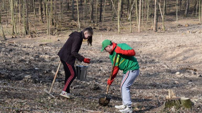 Вінницькі школярі збільшили &laquo;легені планети&raquo; на п'ять гектарів