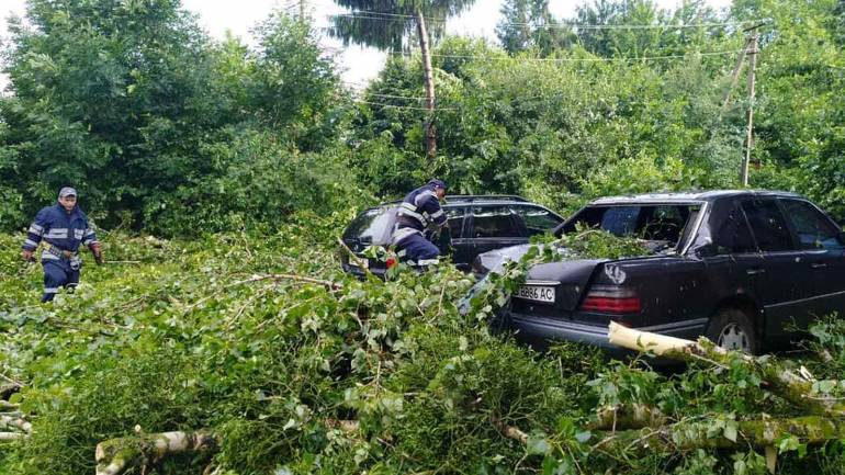 Сильний вітер повалив дерева на 11 житлових будинків на Вінниччині