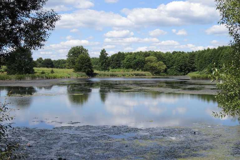 У Вінниці через суд повертатимуть державі землі водного фонду