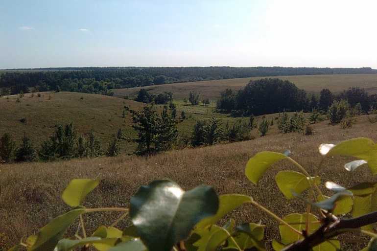 село Першотравневе фото