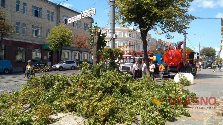 У центрі Вінниці зрізали дерево, щоб ліквідувати прорив труби (ФОТО)