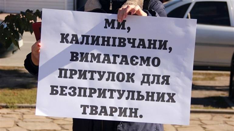 У місті на Вінниччині гуманно ставляться до безпритульних тварин