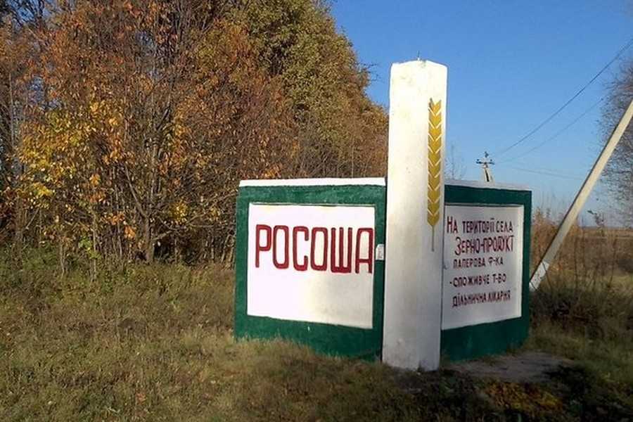 Росоша фото