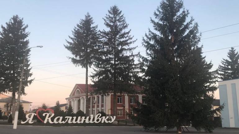 Понад 20 селищних та міських рад Вінниччини відмовились від живих лісових ялинок