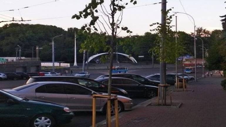 У Вінниці продовжують садити липи вздовж пішохідної зони