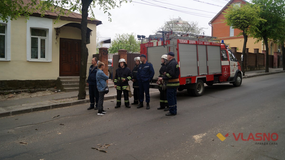 vpalo-derevo 1