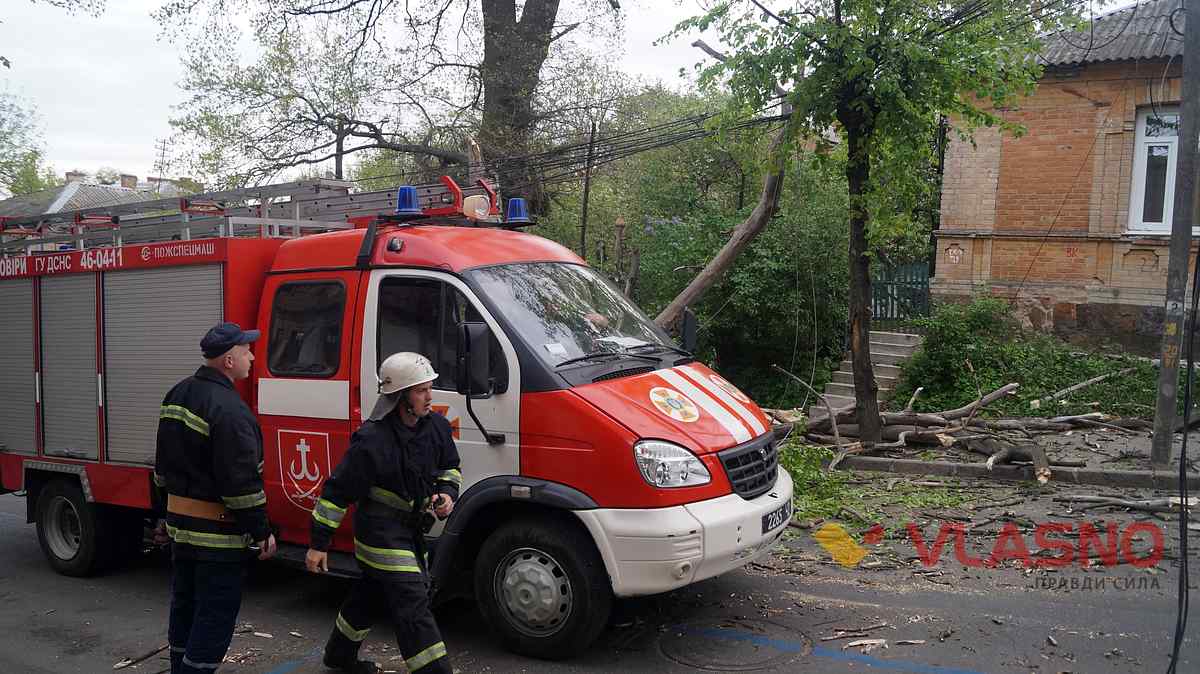 vpalo-derevo 4 1