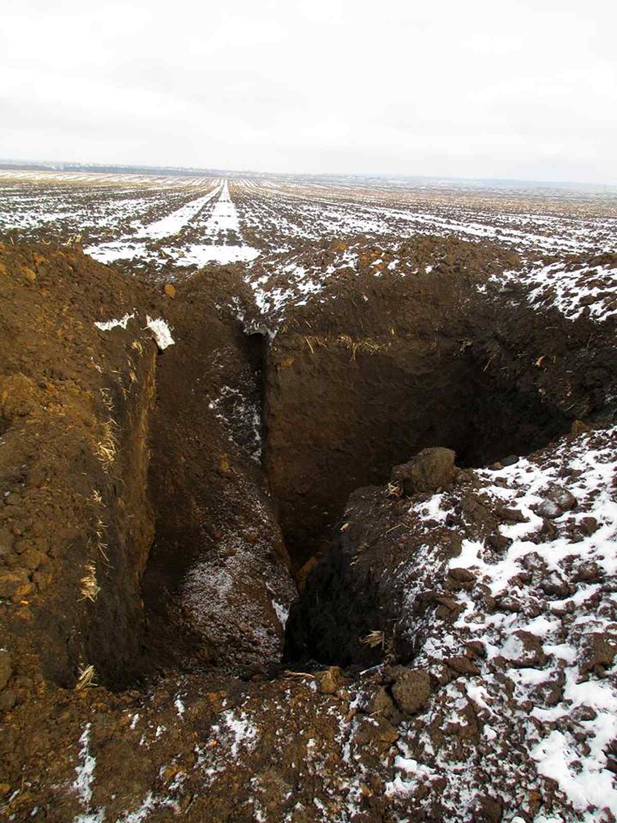 rozkopuvannya kurganiv 15 1