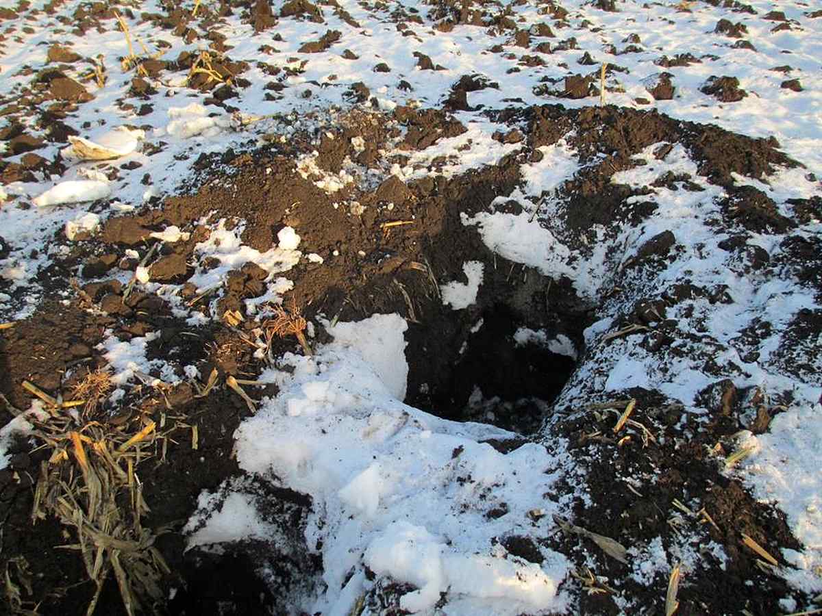 rozkopuvannya kurganiv 5 1