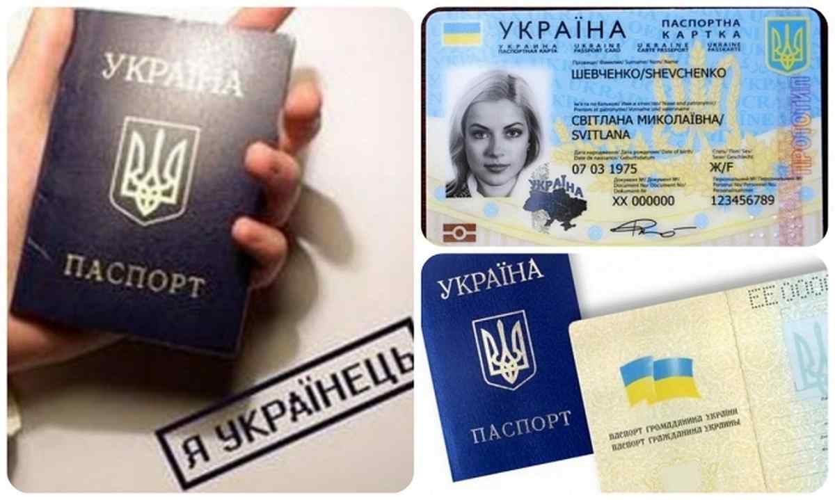 pasport 2