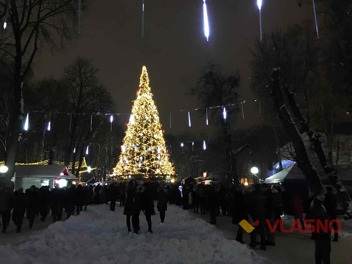 vidkryttya holovnoyi yalynky u vinnytsi 1