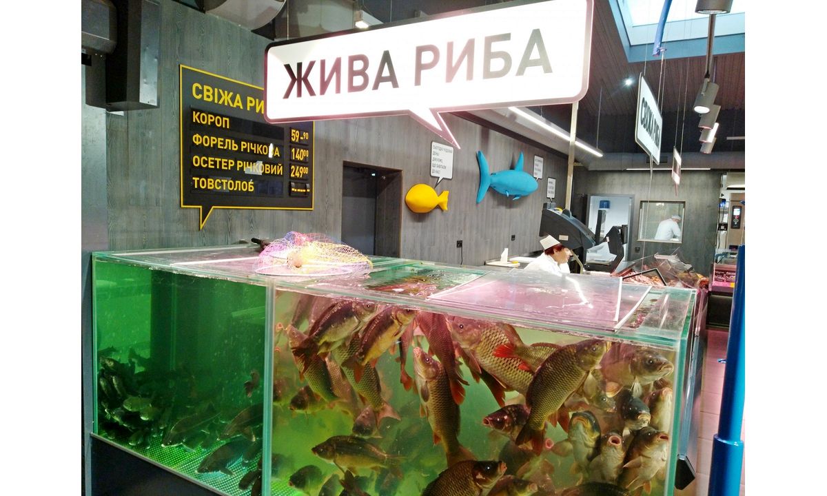 vybor-ryby-2