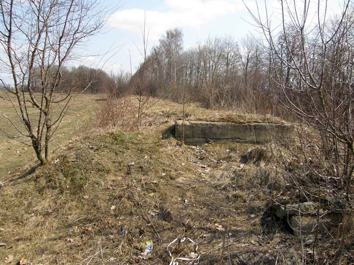 vuzkokoliyna-infrakstruktura-na-vinnichchini-15