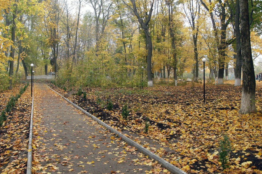 парк у Красносілці фото