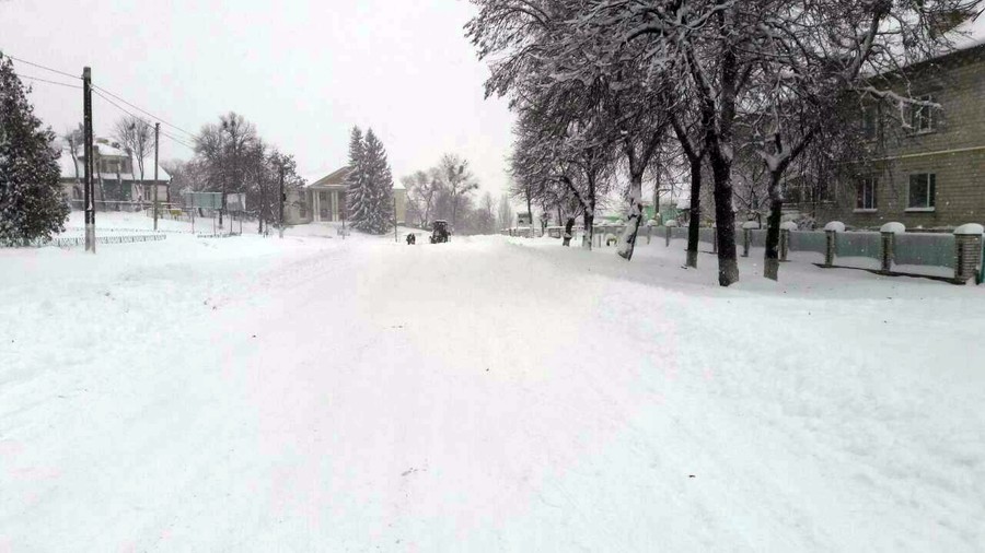 снігопад в Ободівці фото