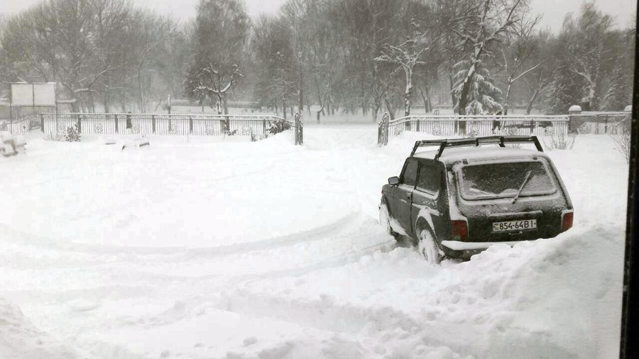 снігопад в Ободівці фото