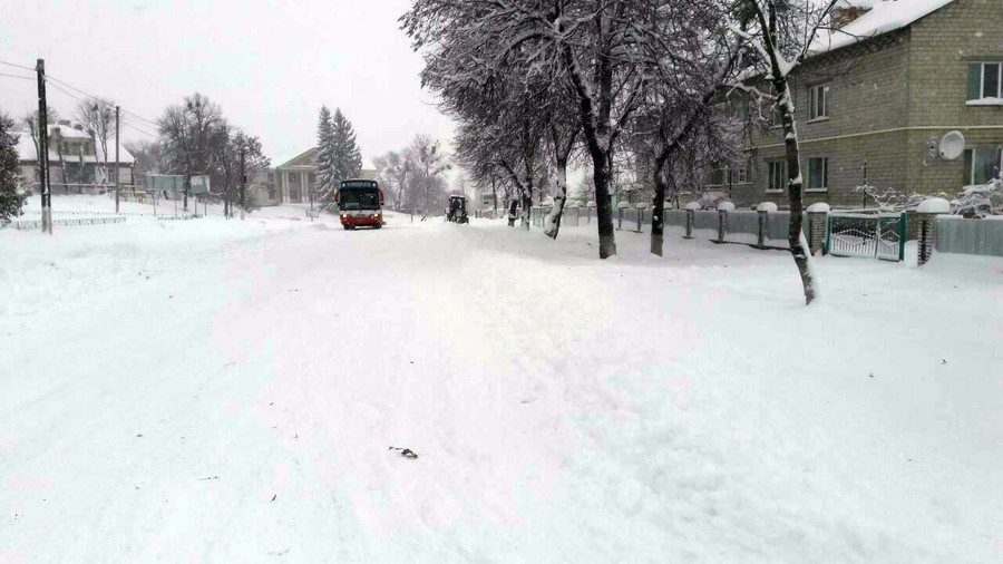 снігопад в Ободівці фото