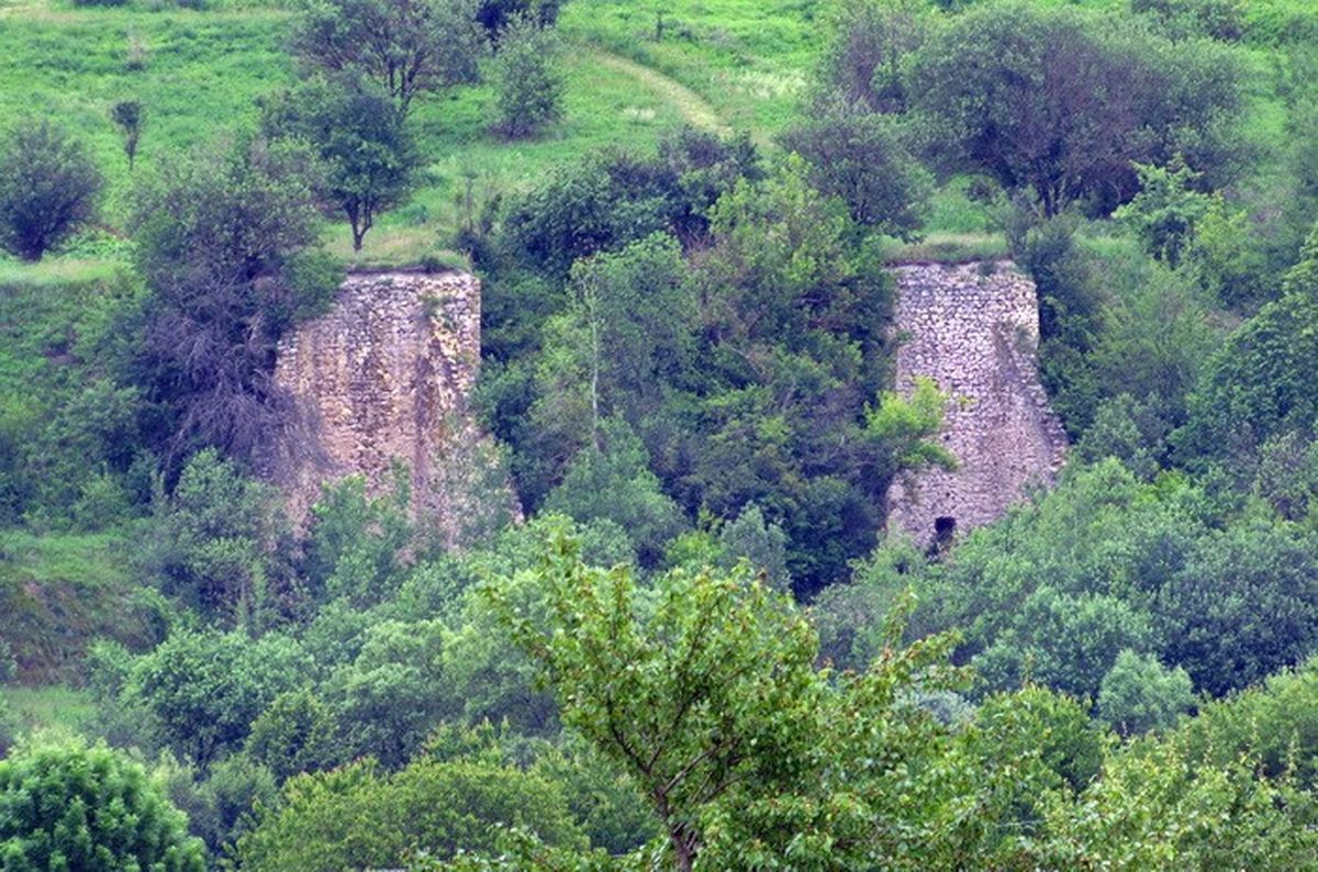 tsegelnya-u-yosipivci-2