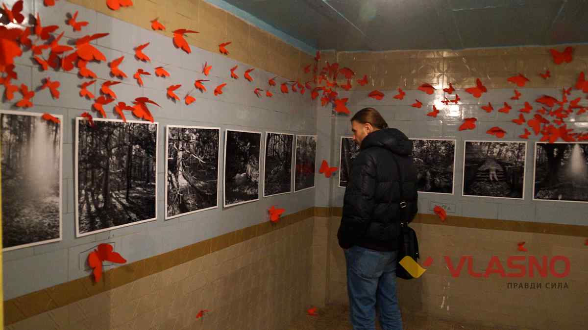 gogol fest 11 1