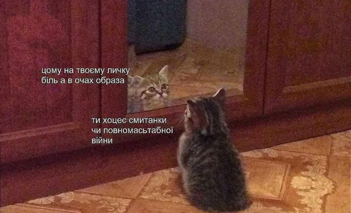 mem-7