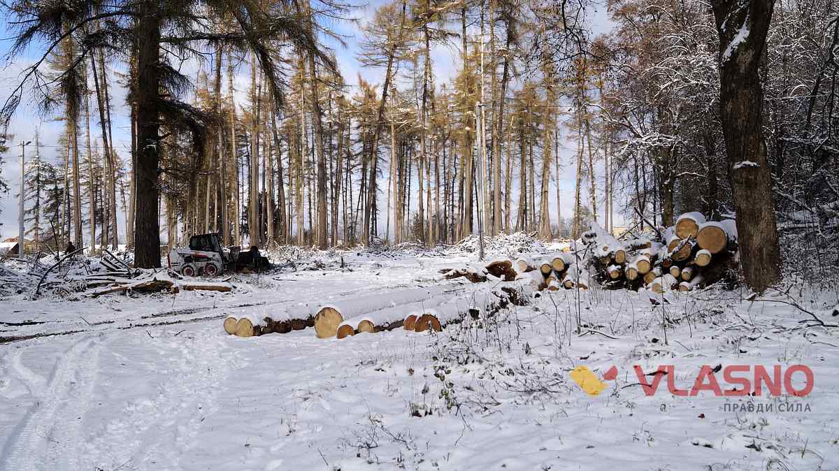pyatnichanskiy park 2