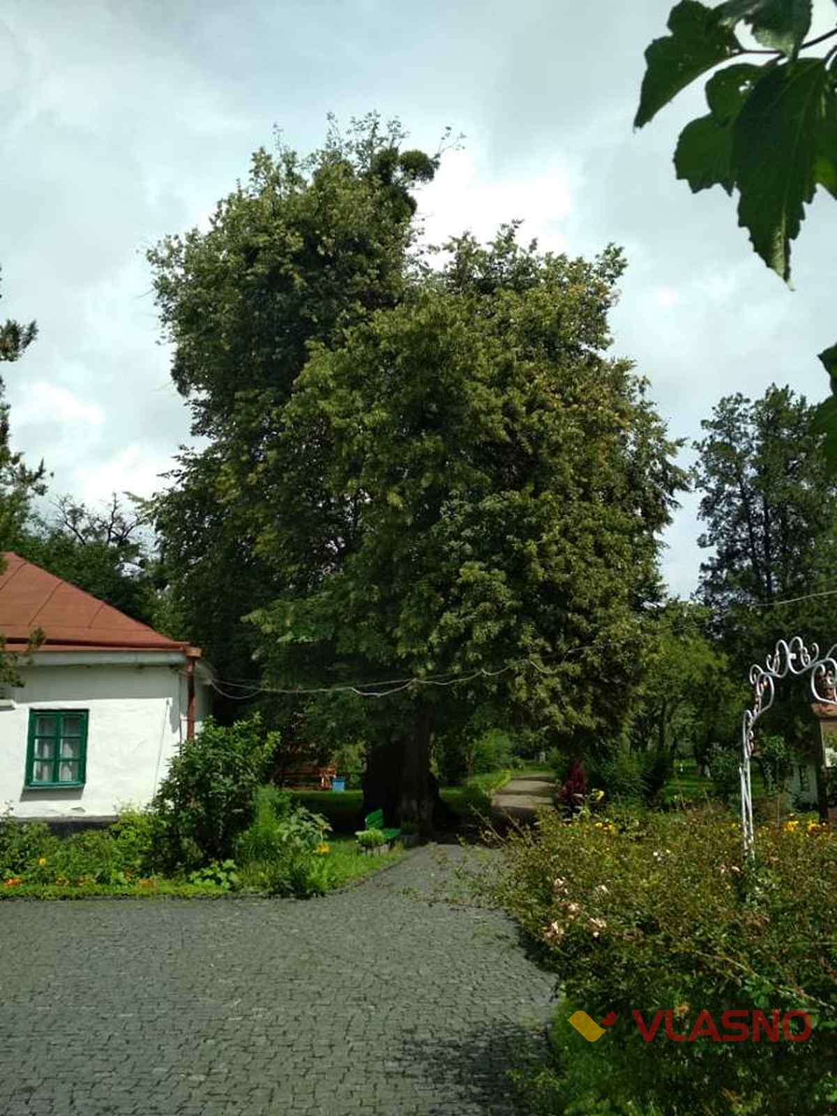 kozubinskogo 10 1