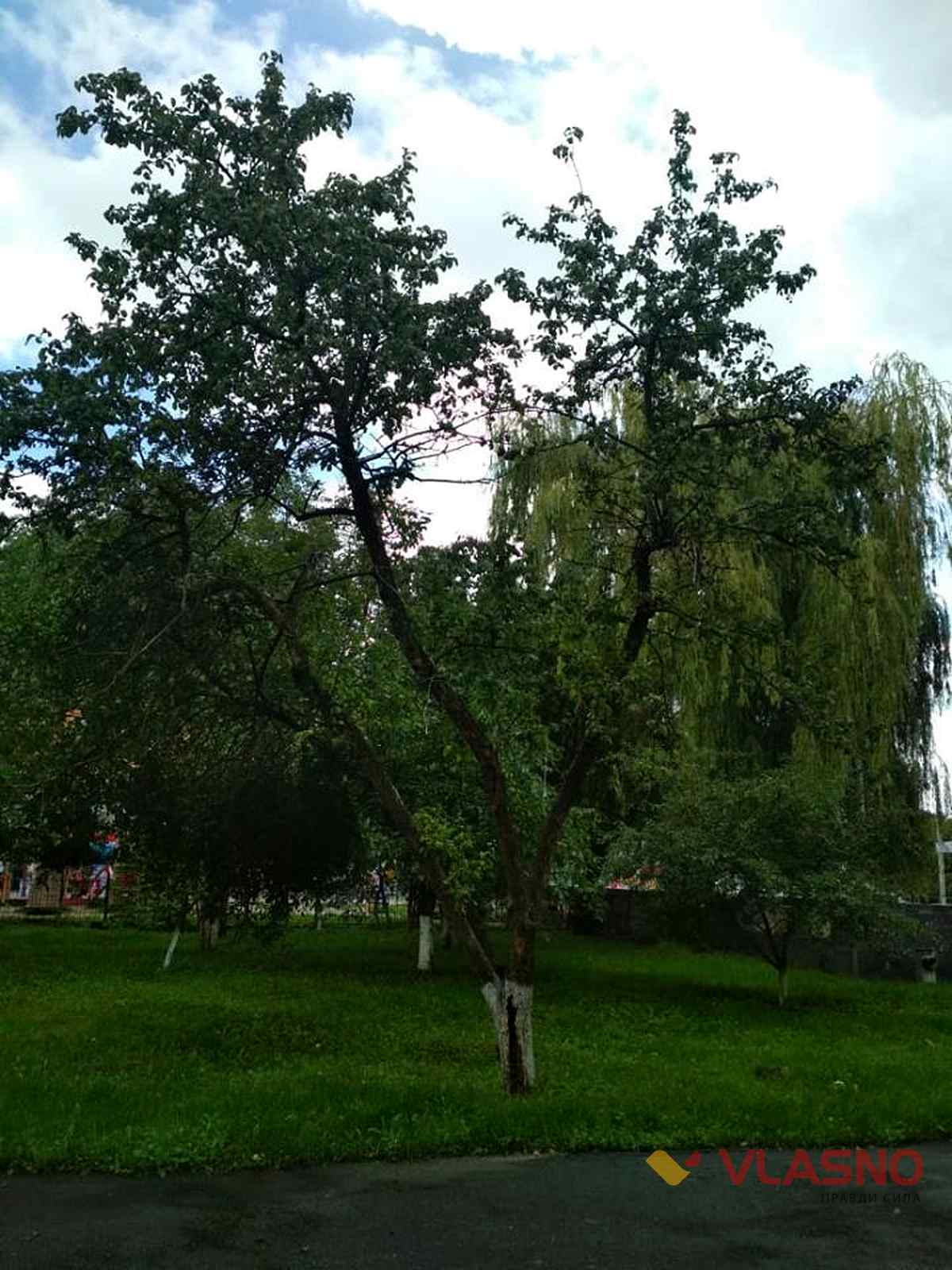 kozubinskogo 12 1