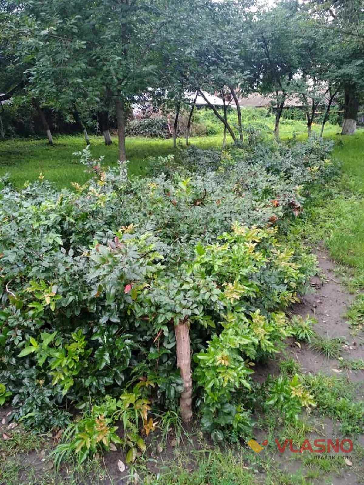 kozubinskogo 16 1