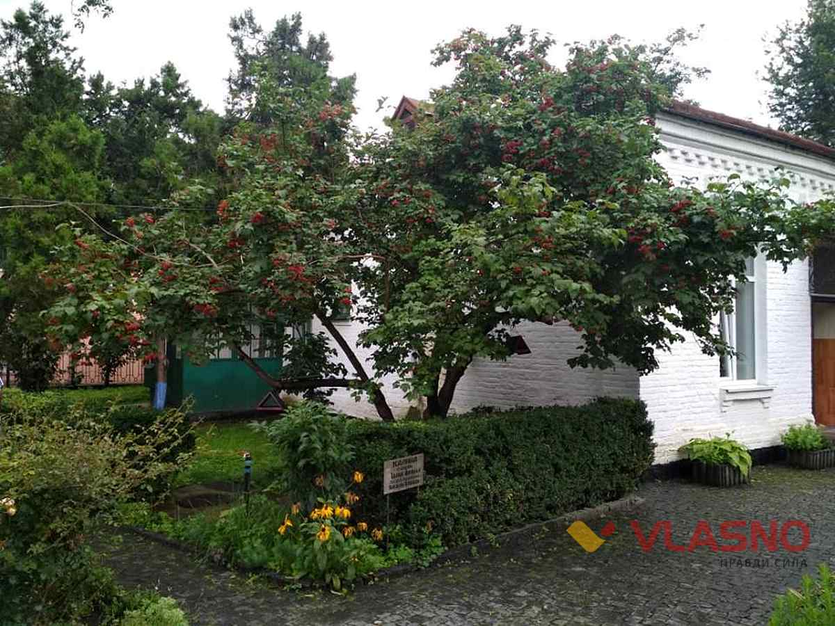 kozubinskogo 17 1