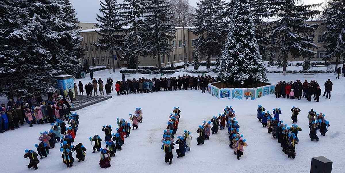 den sobornosti na vinnychchyni 1