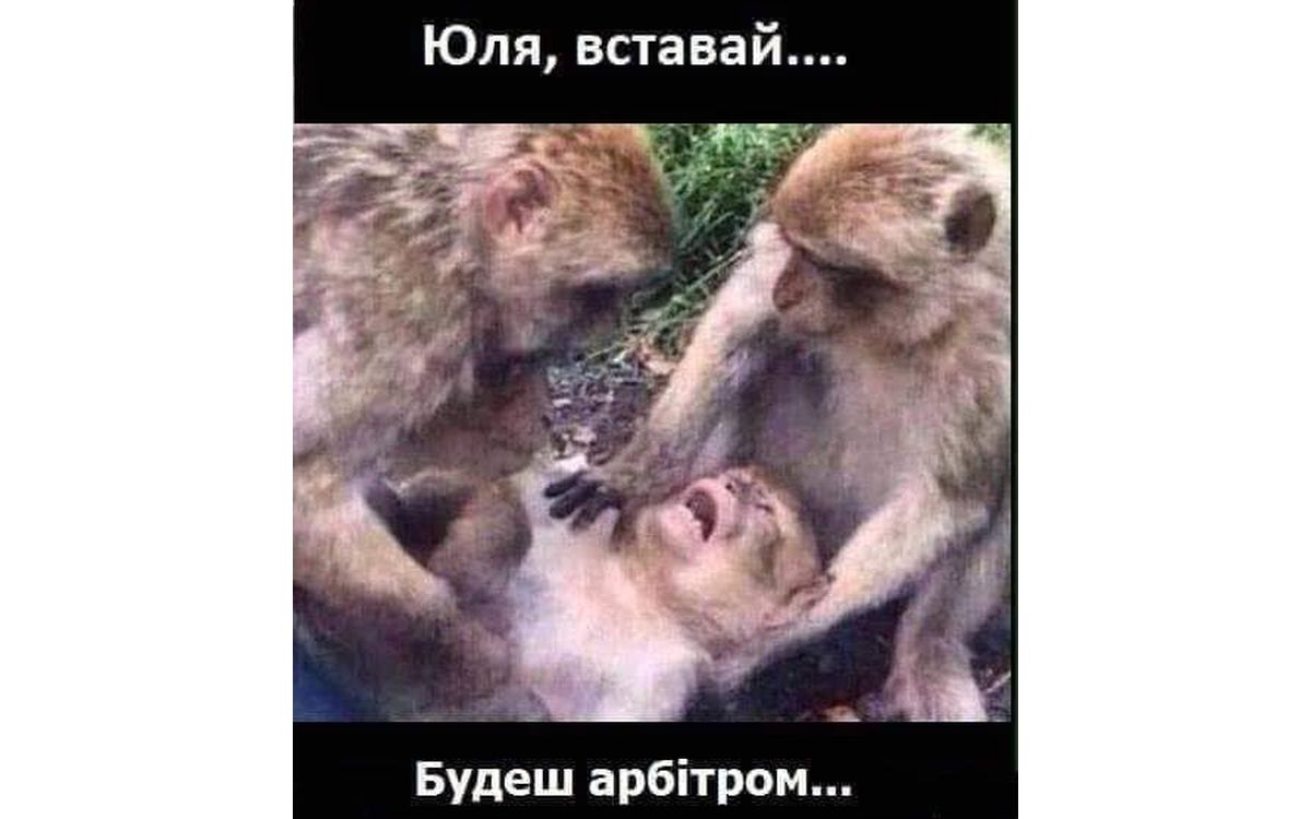 mem-26