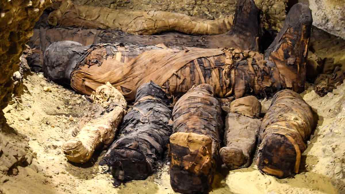 http   cdn.cnn.com cnnnext dam assets 190203094008-egypt-mummies-2 1