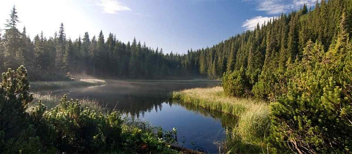 Marichejka-foto-Nika-Shmelovajpg 1